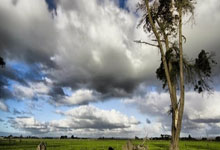 最新欧洲国家队射手榜.