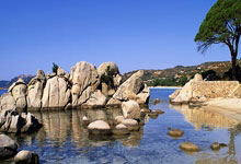 爱游戏：不断突破！刘梦婷晋级世锦赛坡面障碍技巧决赛央视新闻客户端.